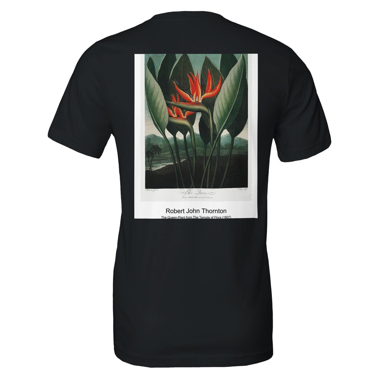 6bc41f78-d536-4256-b247-031d609f3253