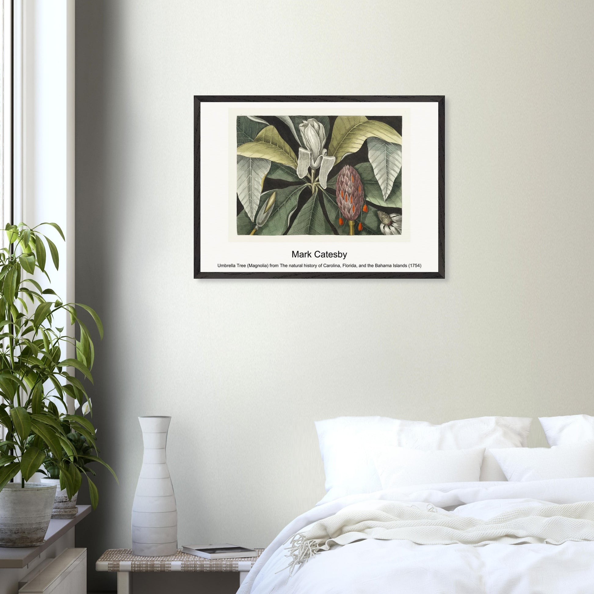 6c2aacc8-e5d4-40de-bbda-c6a4ca3476f7