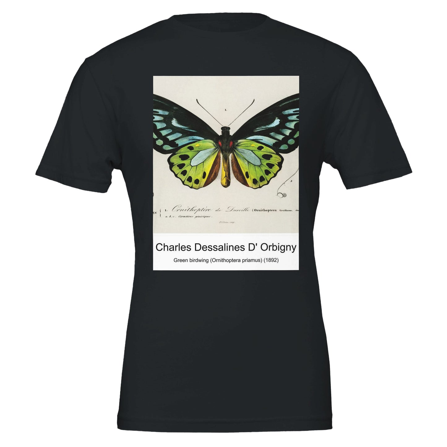 6c47aa59-7e2e-4f80-b718-6c029482d5d1