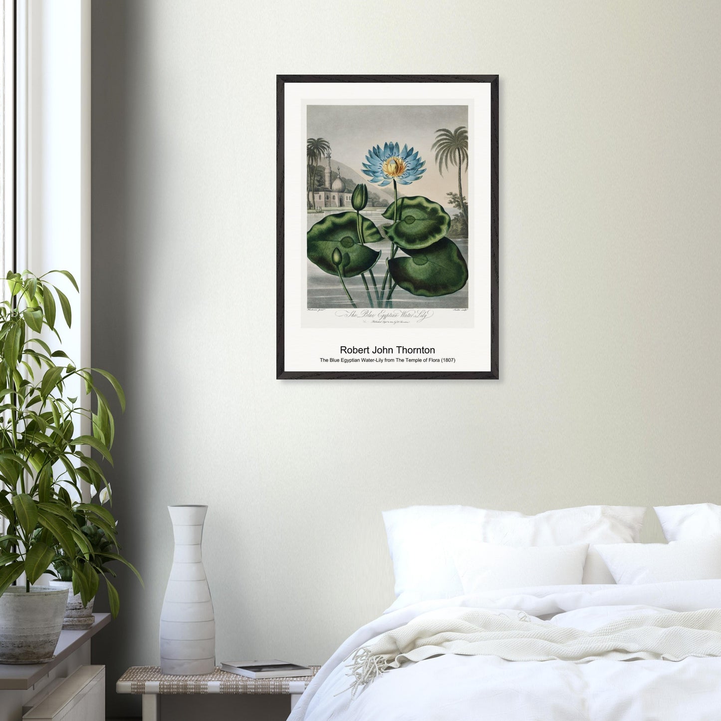 6cf76369-0110-4c2c-9b33-d036ab578f3e