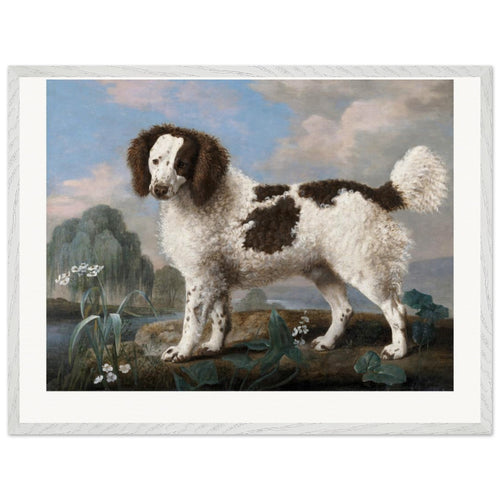 Brown and White Norfolk or Water Spaniel (1778) by George Stubbs. Archival Print on Museum Quality Matte Paper. Premium Wood Framed Wall Art. Original Aspect Ratio