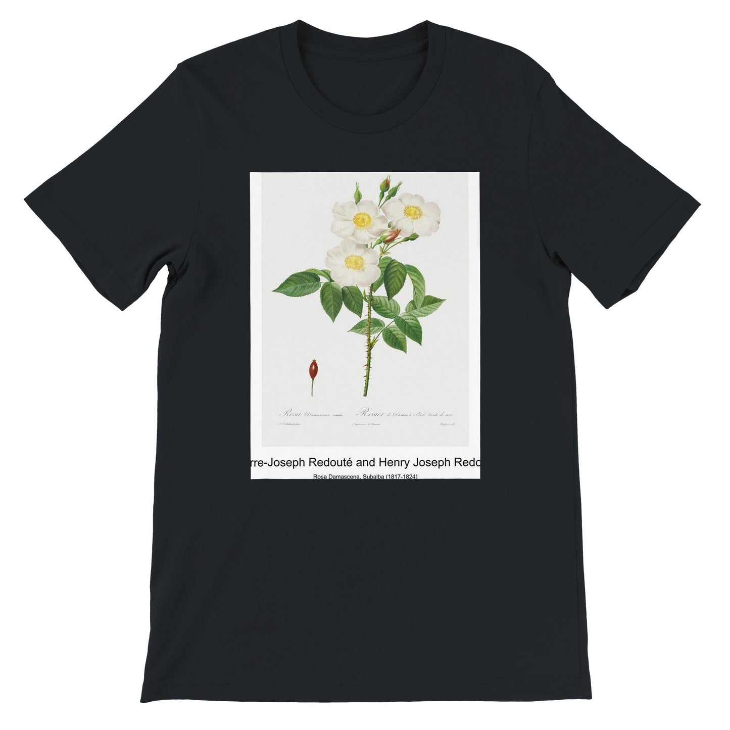 6d8780b6-92b0-43e3-ad77-feb9b5d0601e