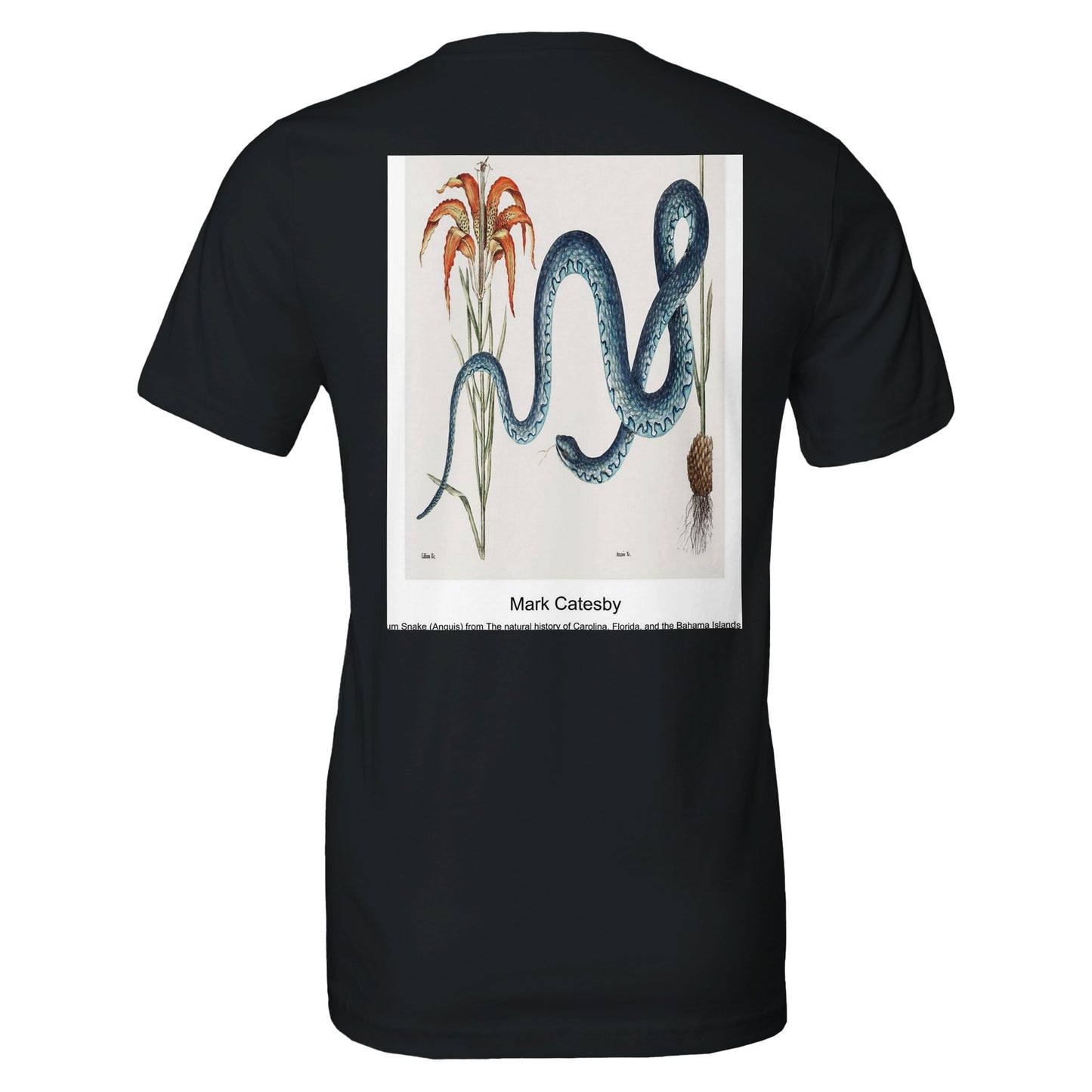 6e1d421f-46e7-46ae-8604-90f47d8eb7dc