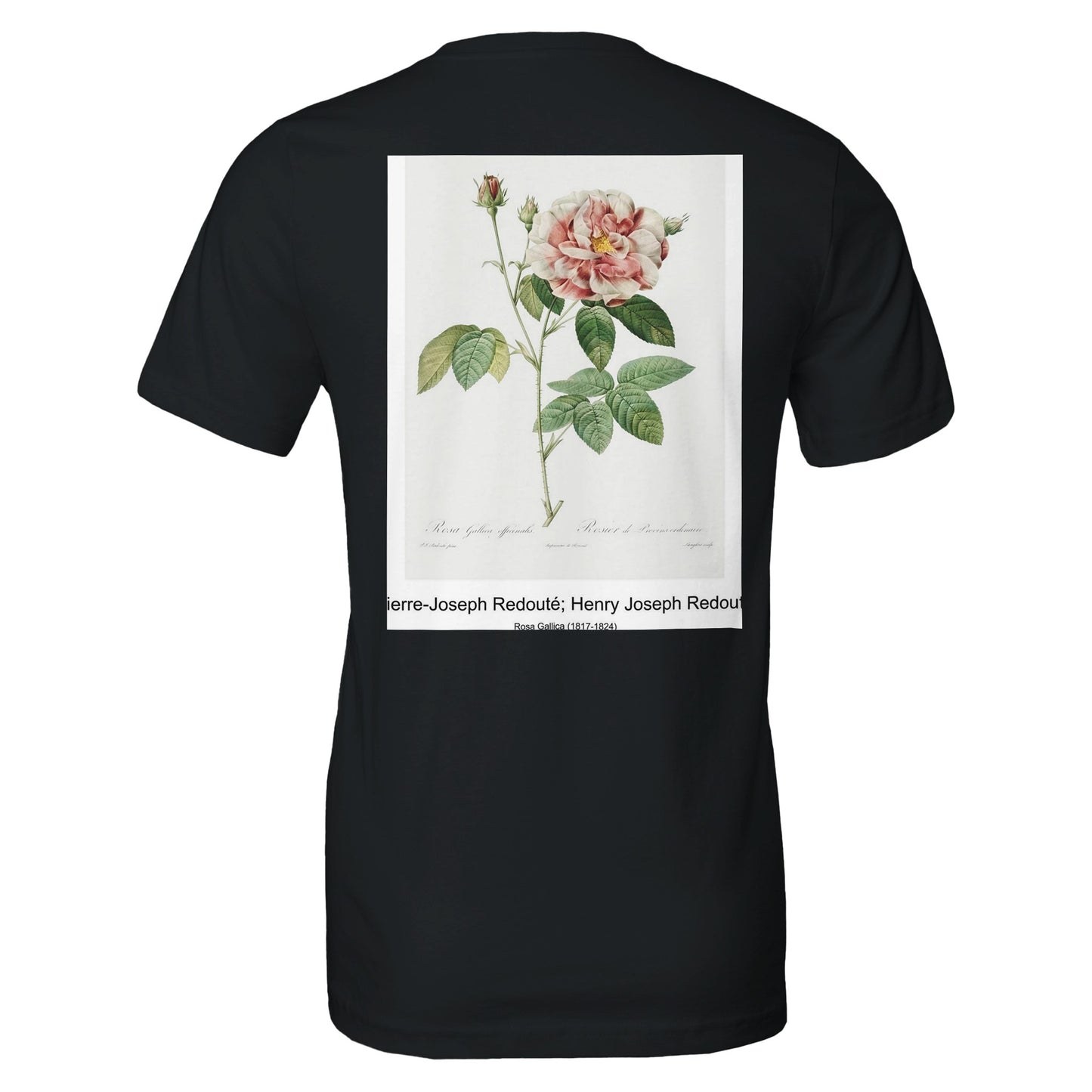 6eaf7ffe-4d8a-4400-ae8b-0f44a76a7be1