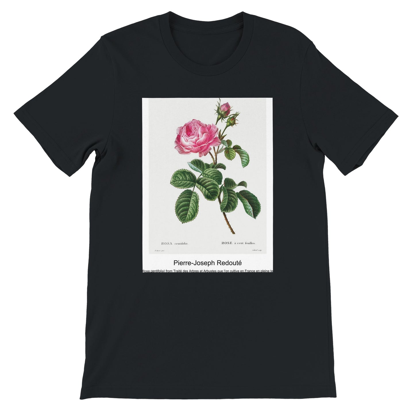 6ef4d8ab-e7d0-4fcc-a699-1ecb2afea3a2