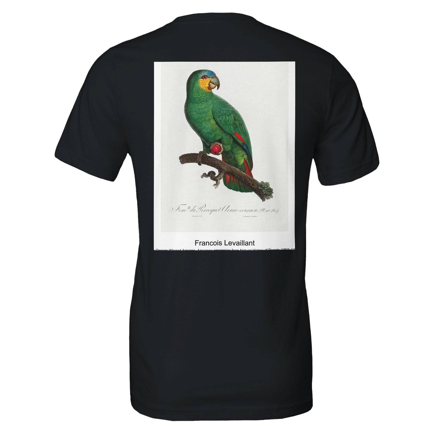 6f3f5571-743e-47f4-b5f9-36686f69ffea