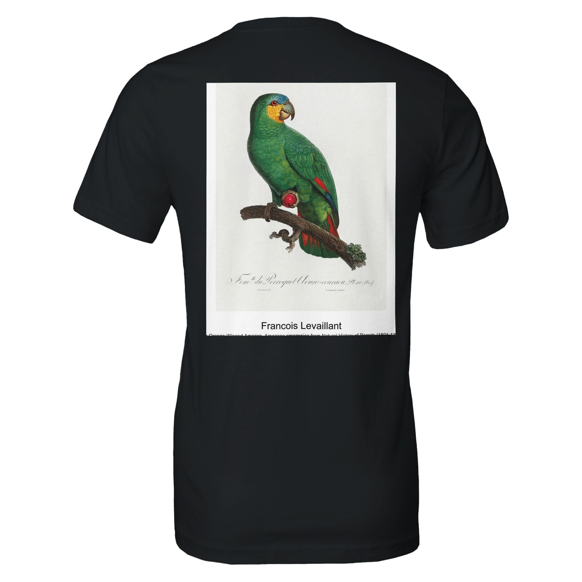 6f3f5571-743e-47f4-b5f9-36686f69ffea