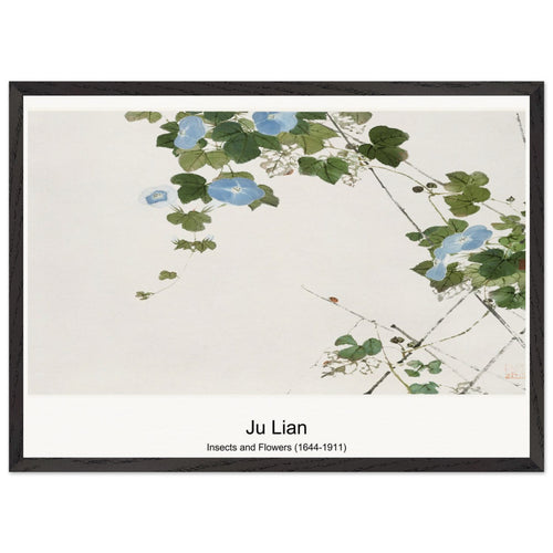 Insects and Flowers (1644-1911) by Ju Lian. Archival Print on Museum Quality Matte Paper. Premium Wood Framed Wall Art. Optimised Aspect Ratio.