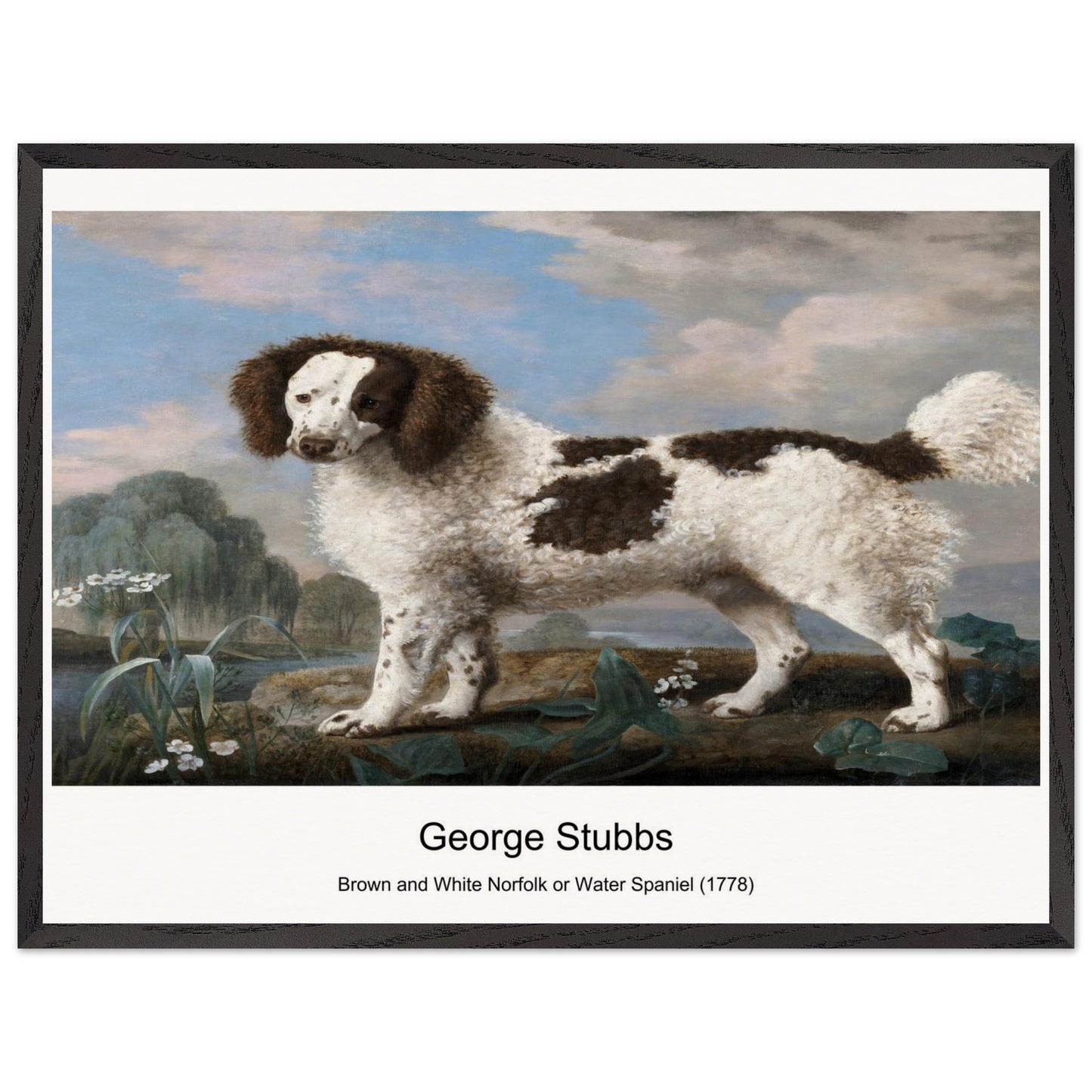 707f5c8e-5d8e-4373-8188-86ce99be2901