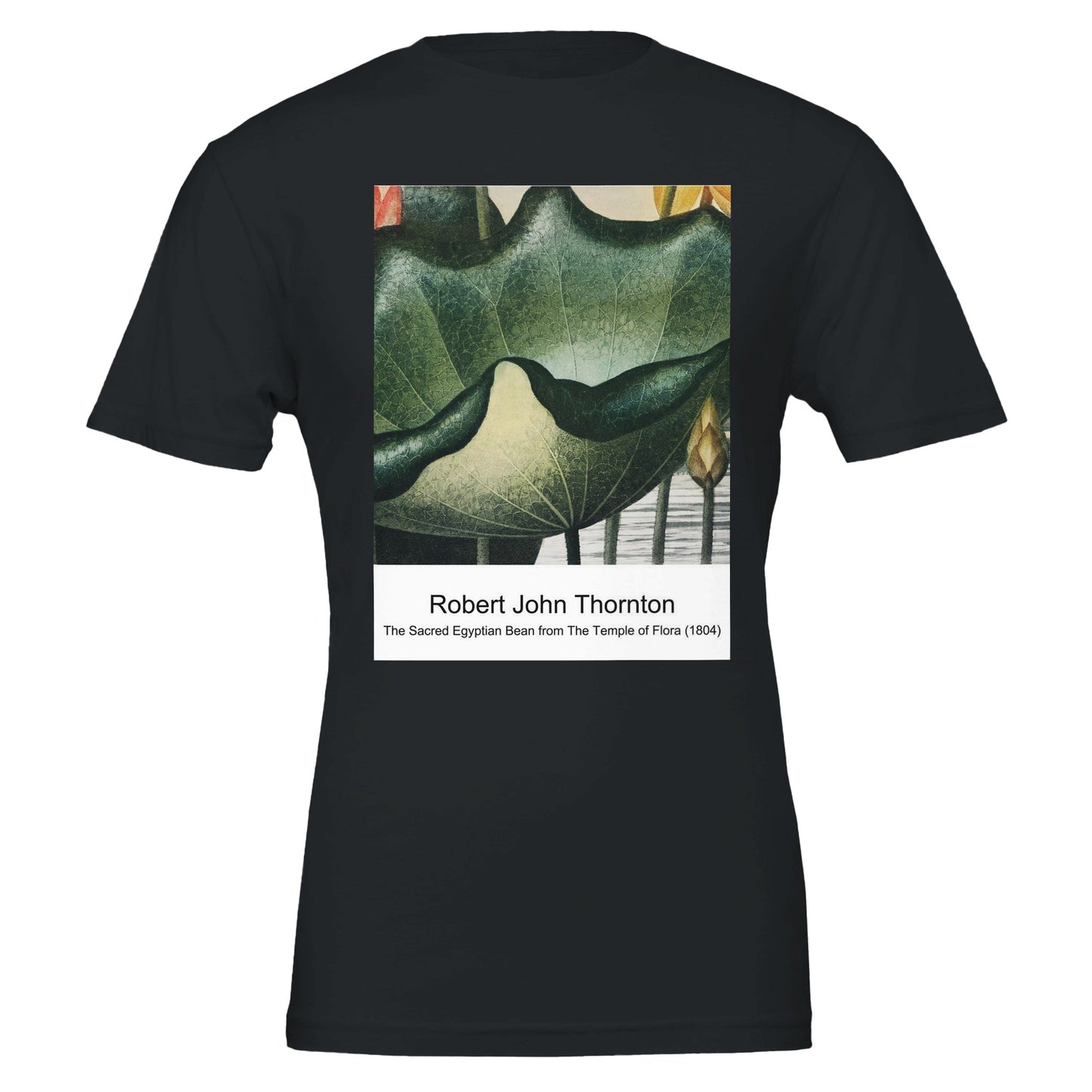 716454dc-f739-4a42-a45f-17d646fc6c40