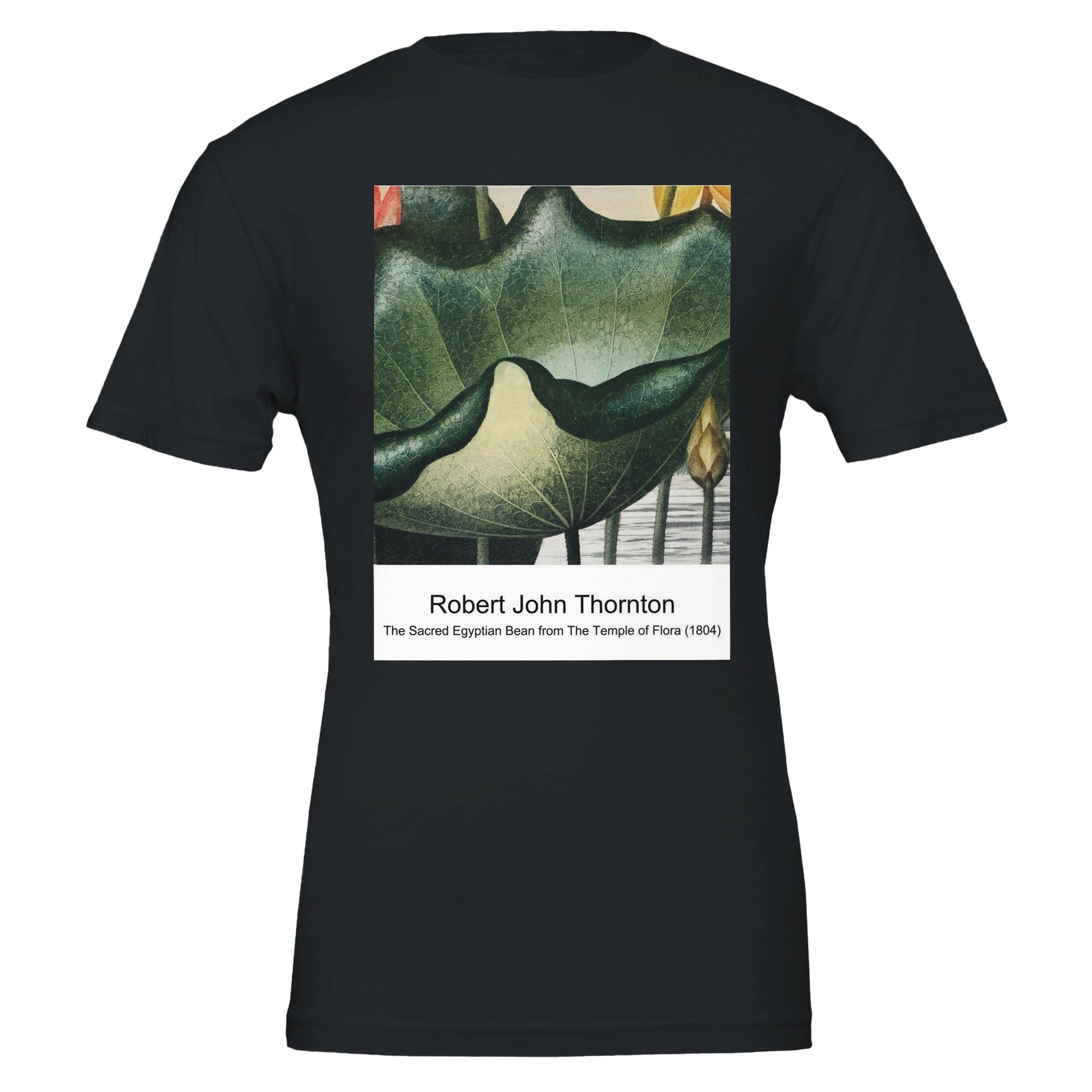 716454dc-f739-4a42-a45f-17d646fc6c40