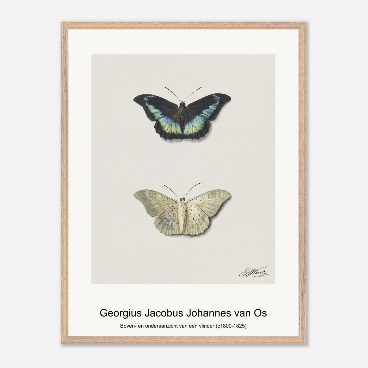 71dcdb6b-e13e-47f9-8d8f-cd8914675ee8