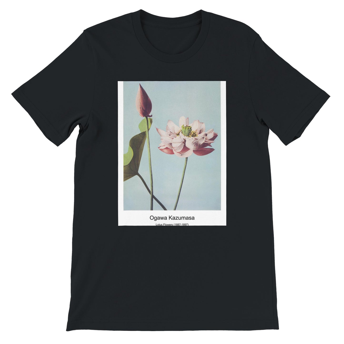 71e62017-6699-4f55-9385-14ab85220cd7