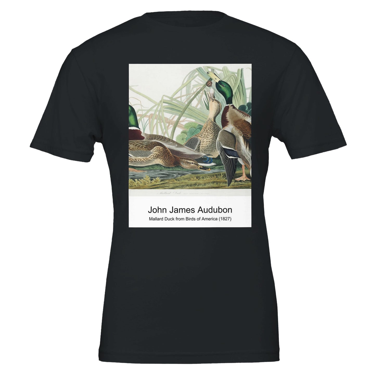 722d1e88-8e17-46d1-ac9e-5dcac815d22a