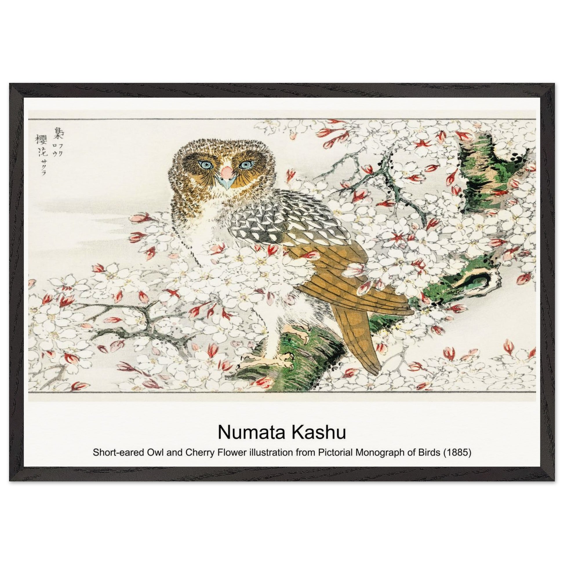 72686ba9-4ce5-4308-9588-060d7db9b310