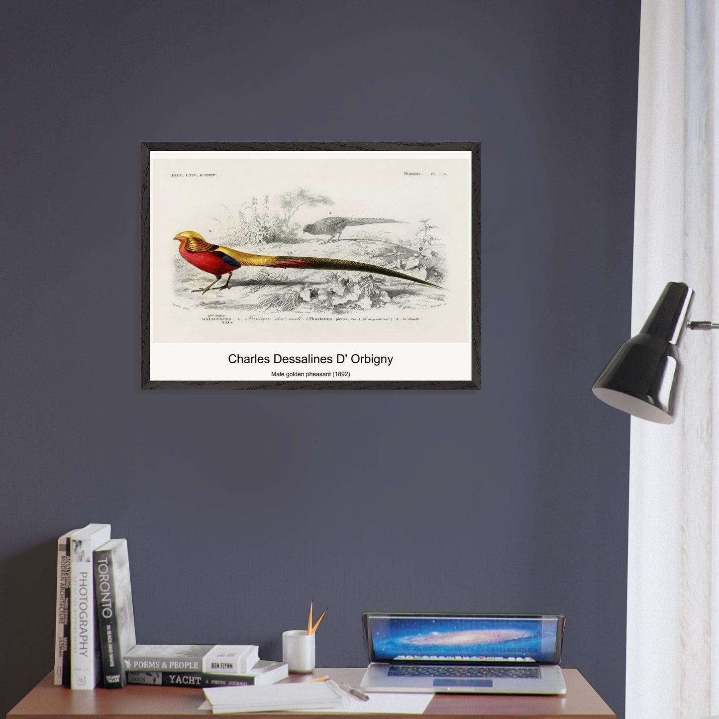 726b07fc-75fb-45a2-b22f-4a08f4878f68