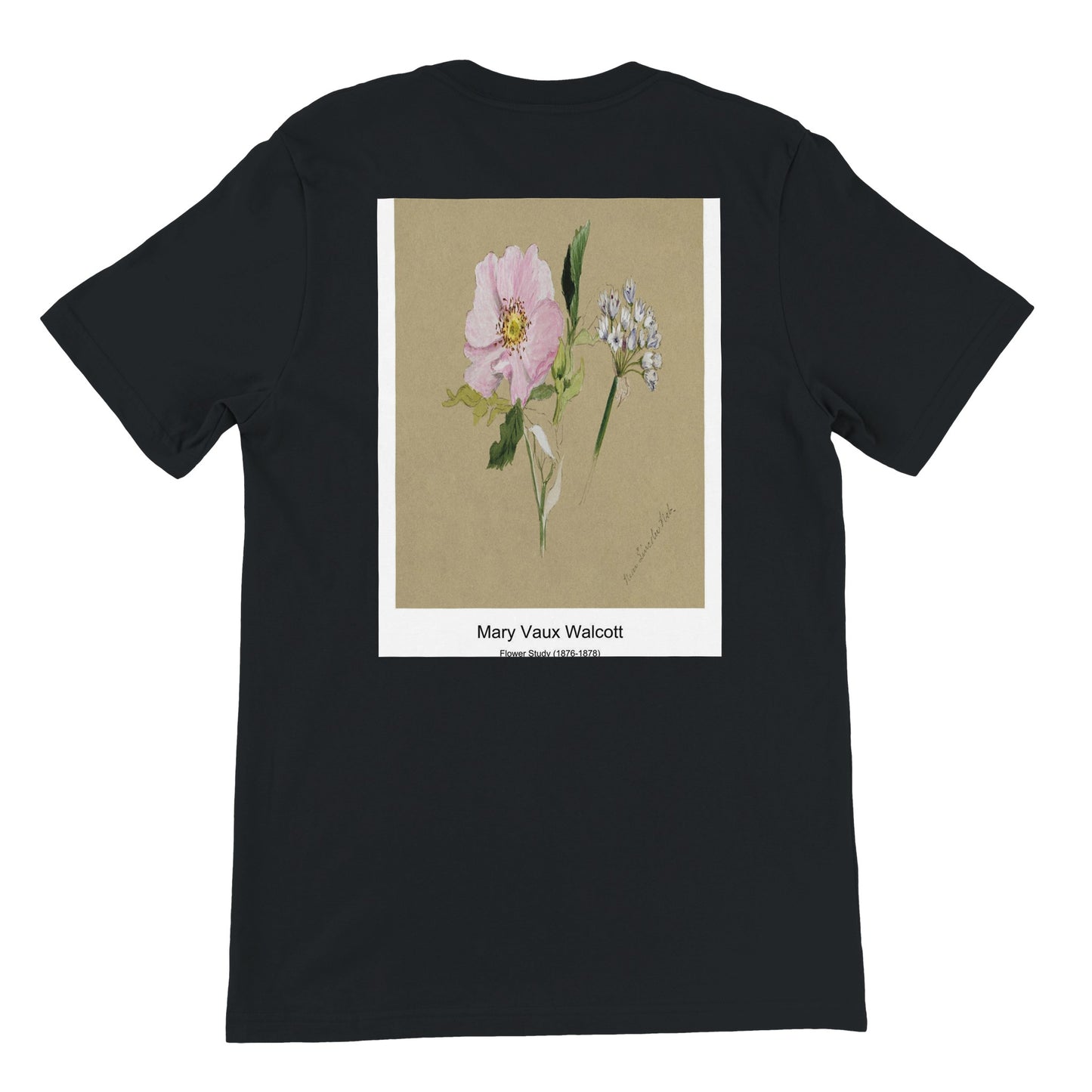 7298017b-b5a9-437b-8456-c9864980df46