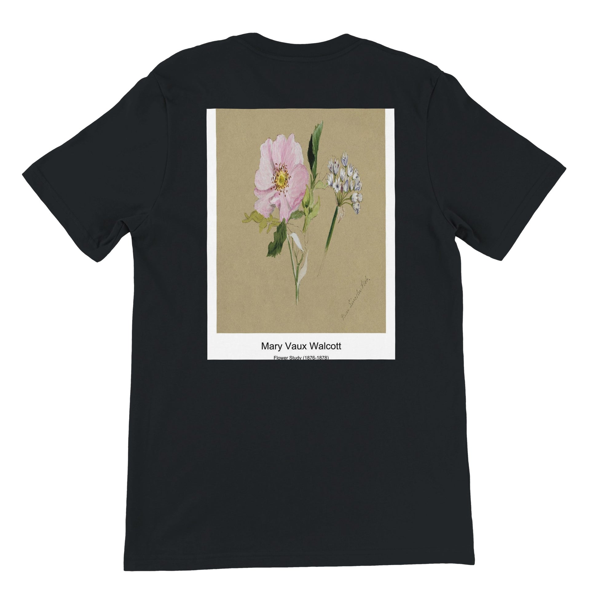 7298017b-b5a9-437b-8456-c9864980df46