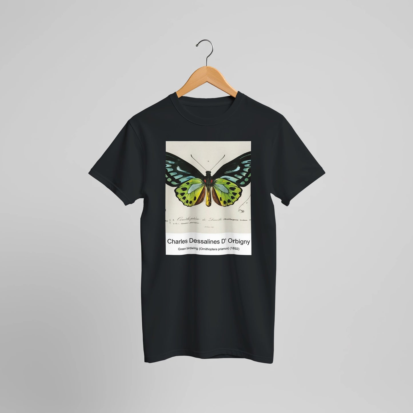 72a11813-1a0e-449d-9f4e-5793a7749b3c