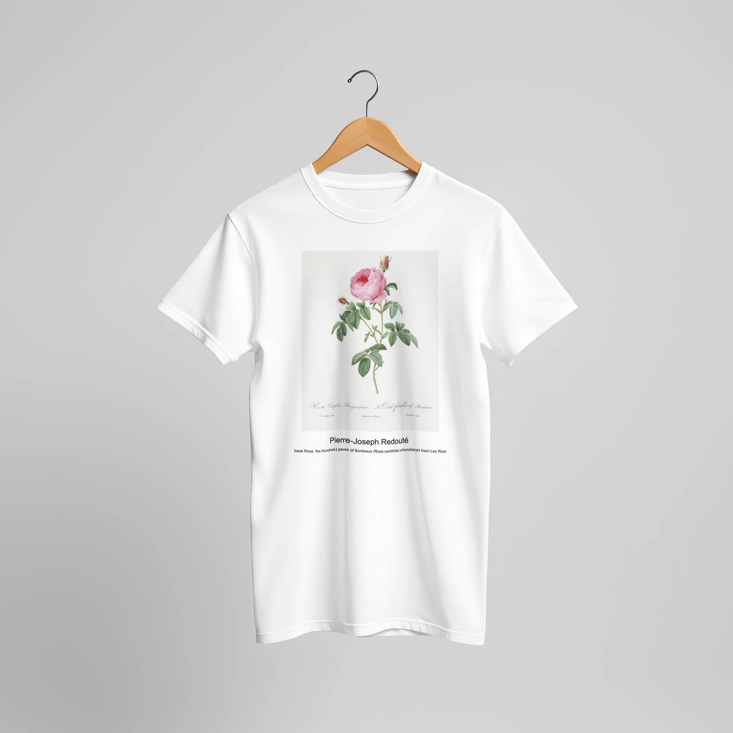 740dc287-bcdf-4ce6-b05a-b60df36bfeae