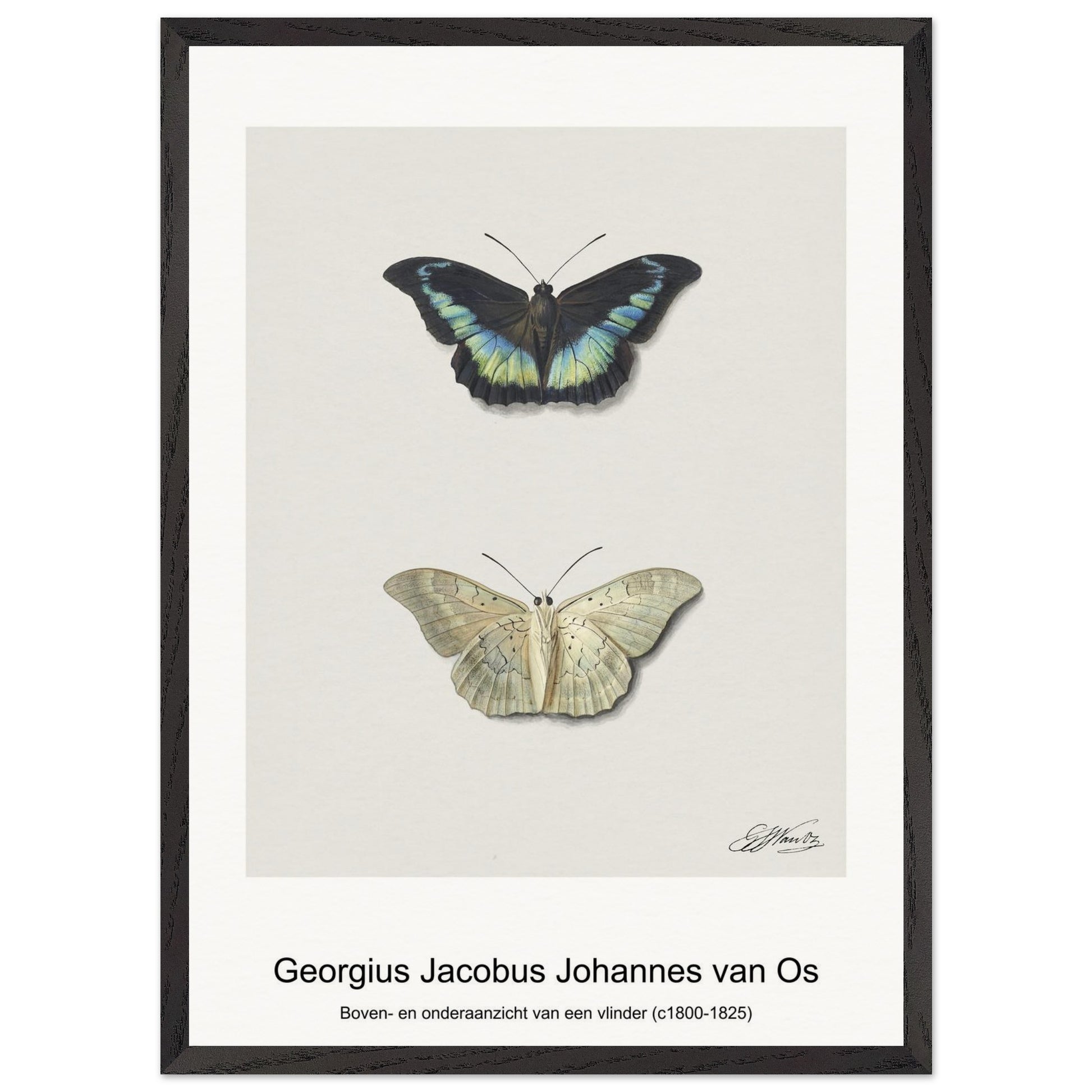 7518bd2a-9b37-4427-a920-a3778f12870a