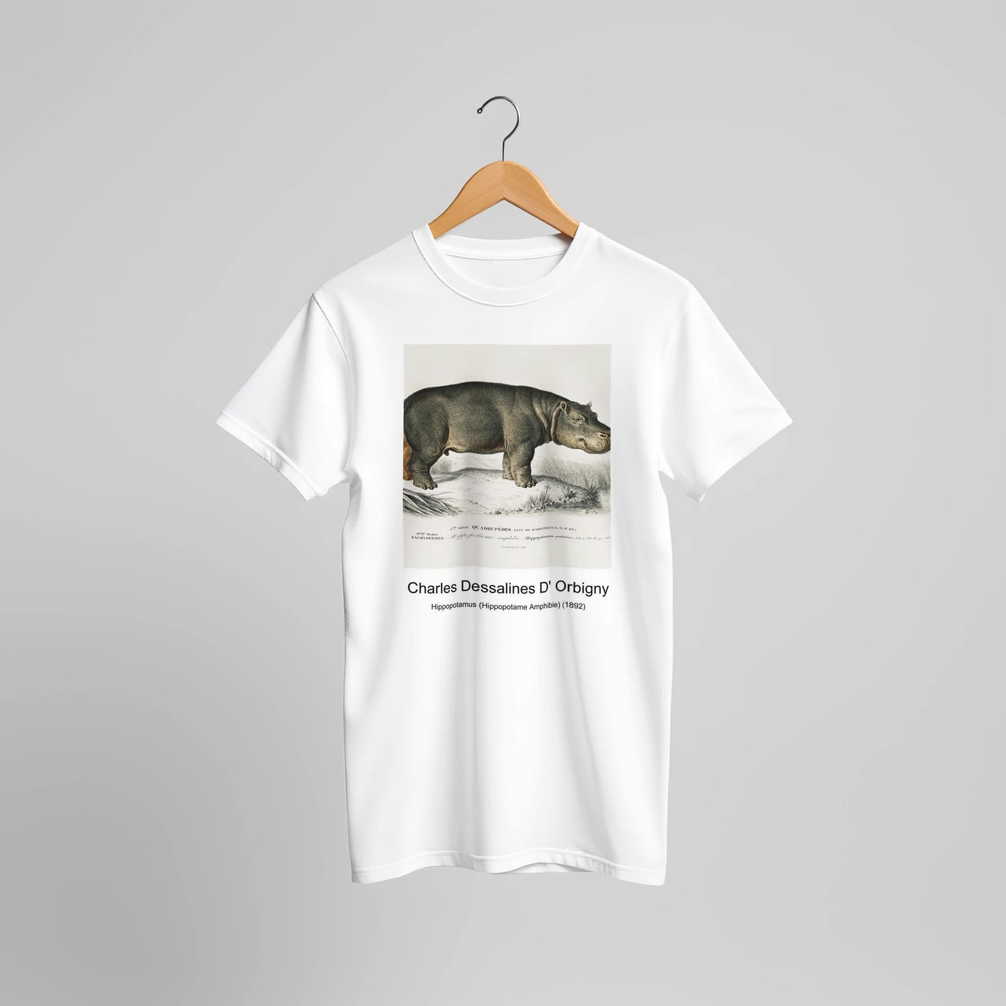 759f0fd6-6964-4a1e-86a6-86647d9cab76