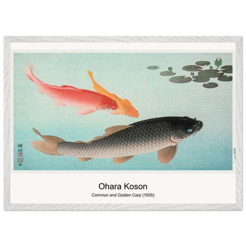 Common and Golden Carp (1935) by Ohara Koson. Archival Print on Museum Quality Matte Paper. Premium Wood Framed Wall Art. Optimised Aspect Ratio.