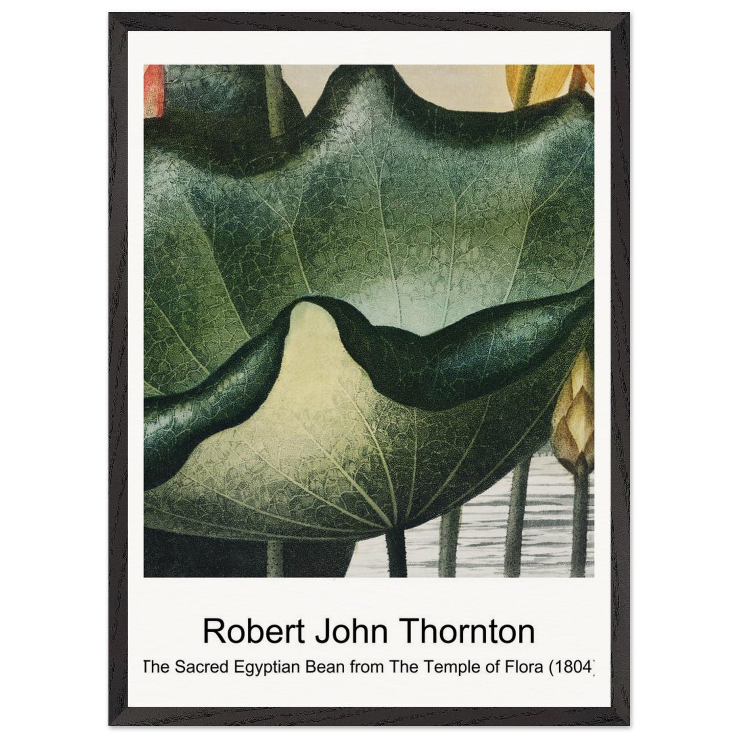 76a14733-ee9c-468a-9637-9618d912fc4f