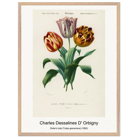 76a23415-29c0-48ec-93ee-d912b8919d62