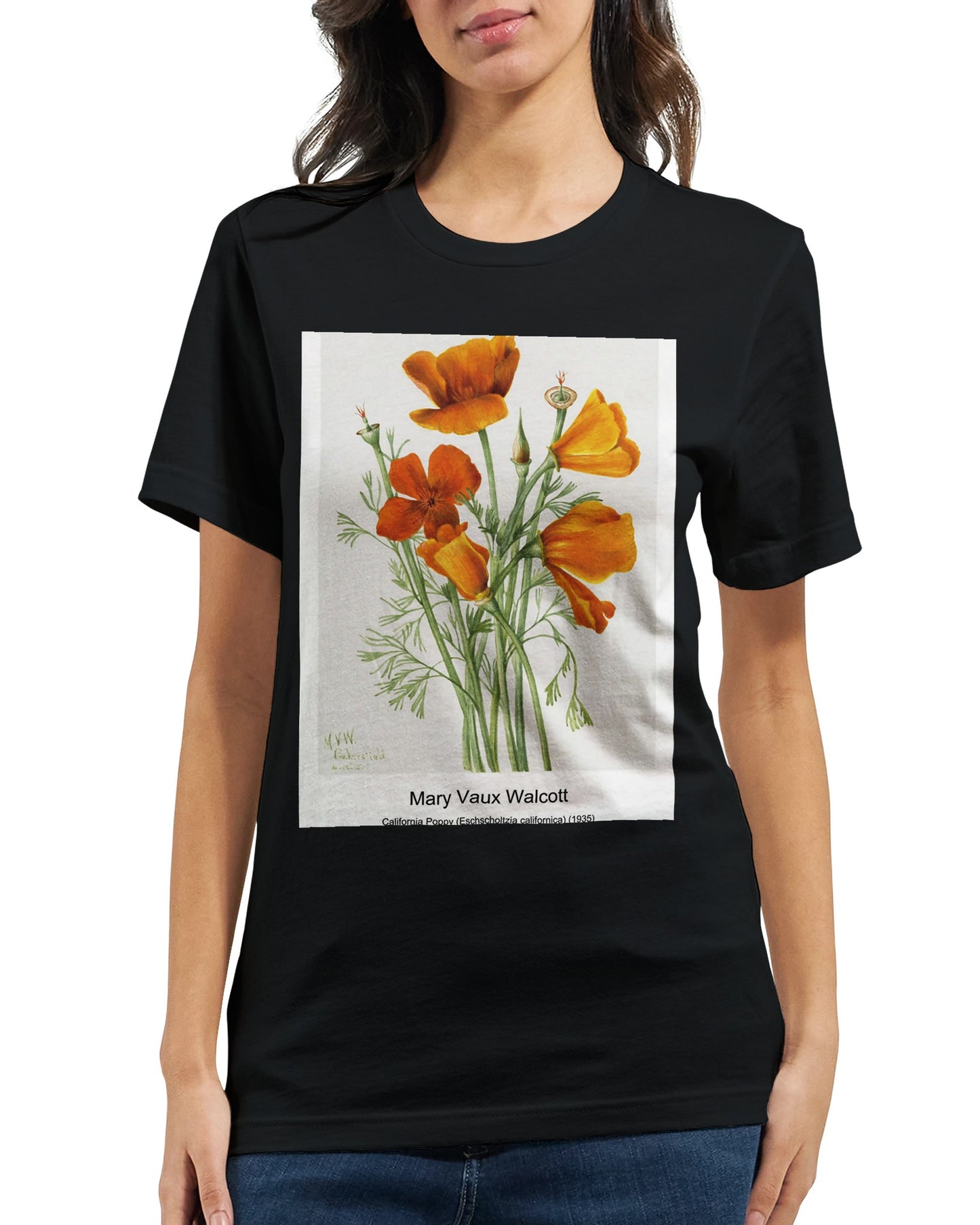 76daff9f-aa28-48c8-8470-a79f9e0b2429