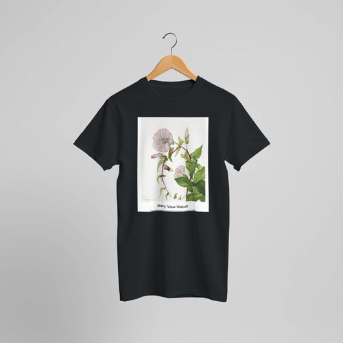 Hedge Bindweed (Calystegia Convolvulus sepium) (1932) by Mary Vaux Walcott. Custom Print on a 100% Airlume Combed and Ring-Spun Cotton Unisex Crewneck T-shirt Optimised Aspect Ratio.