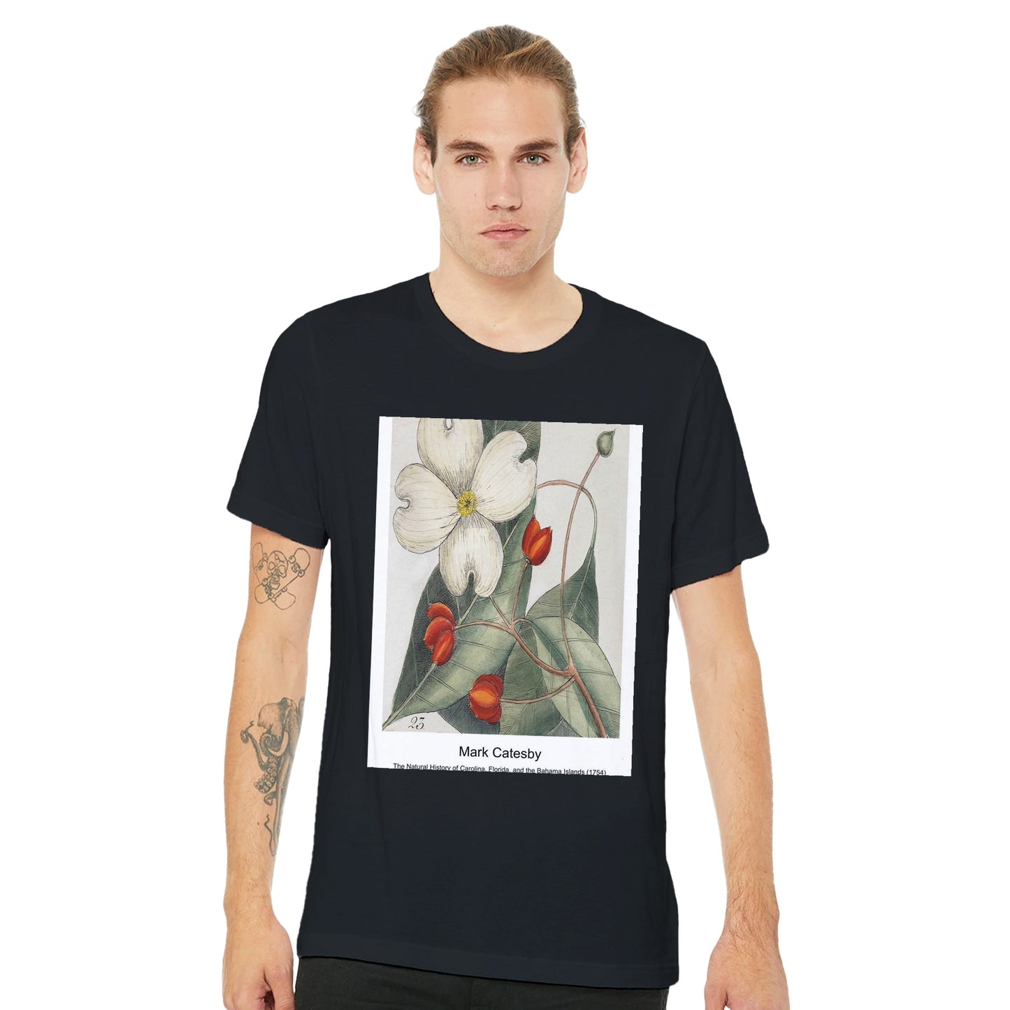 7754e0fc-ea62-403b-957c-fdaa3ed4d420