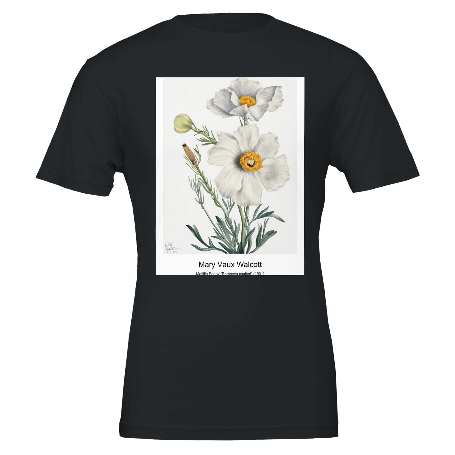 779556c1-0b32-4d33-bccd-32f1637f8c4b