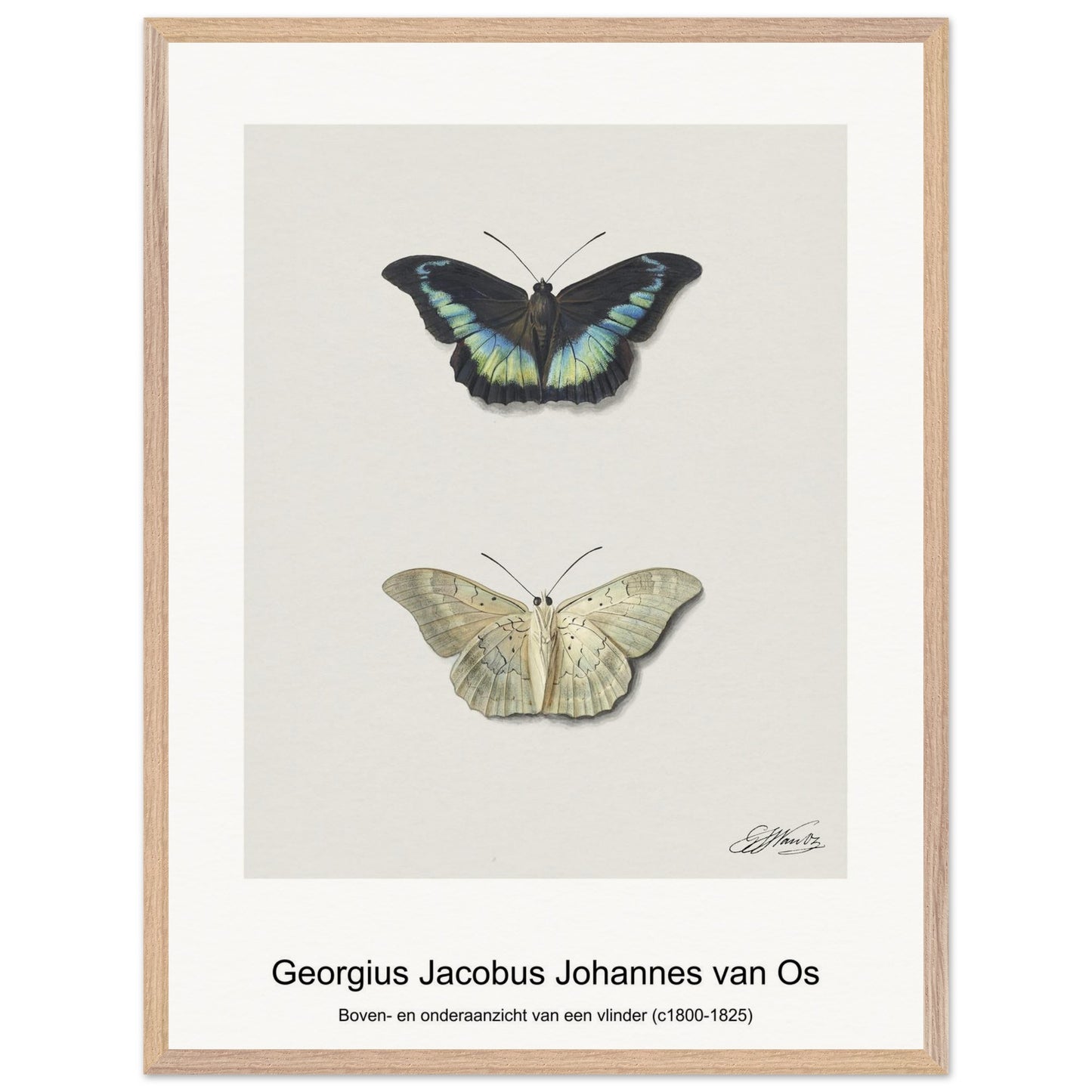 787f5635-4f61-4b81-a538-01a8f0d4a0bc