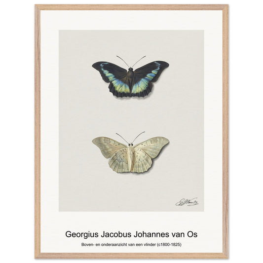 787f5635-4f61-4b81-a538-01a8f0d4a0bc