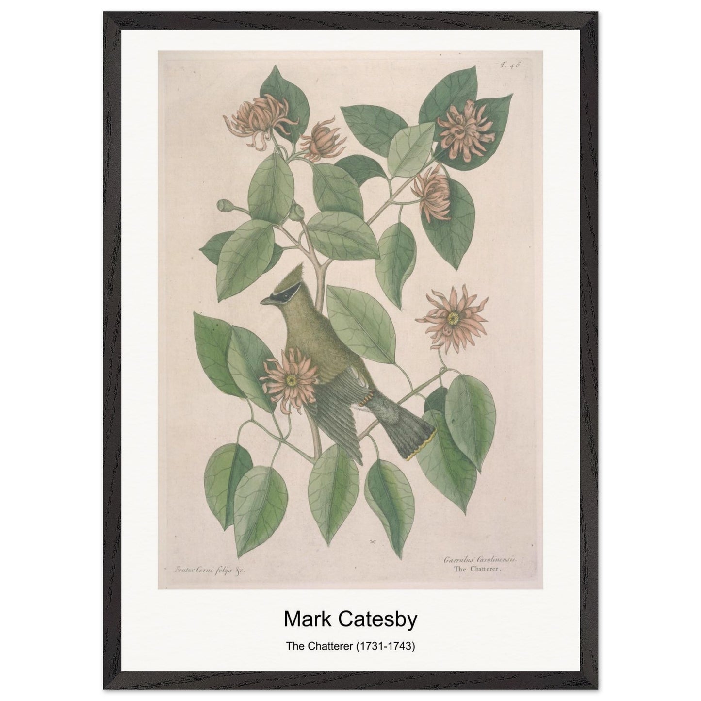 78e5a11f-83a7-4a68-bd1f-7e2e47e893b4