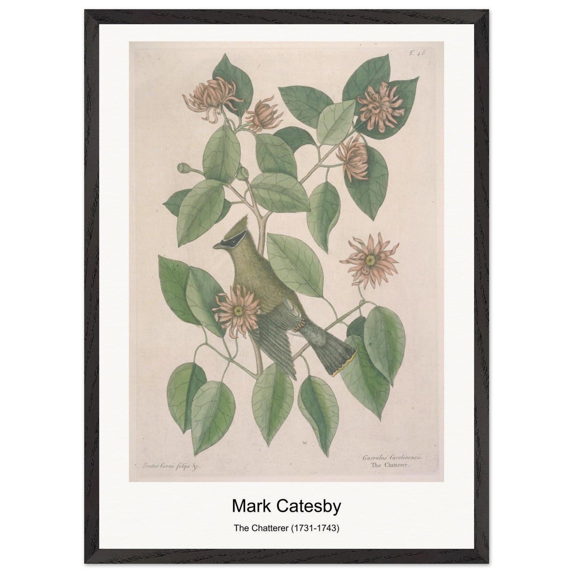 78e5a11f-83a7-4a68-bd1f-7e2e47e893b4