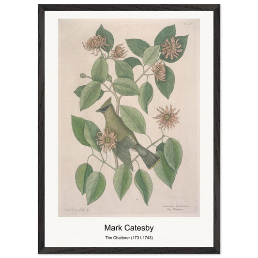 78e5a11f-83a7-4a68-bd1f-7e2e47e893b4