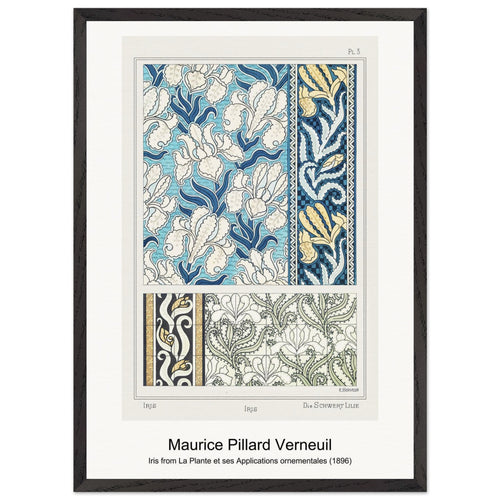Iris from La Plante et ses Applications ornementales (1896) by Maurice Pillard Verneuil. Archival Print on Museum Quality Matte Paper. Premium Wood Framed Wall Art. Original Aspect Ratio