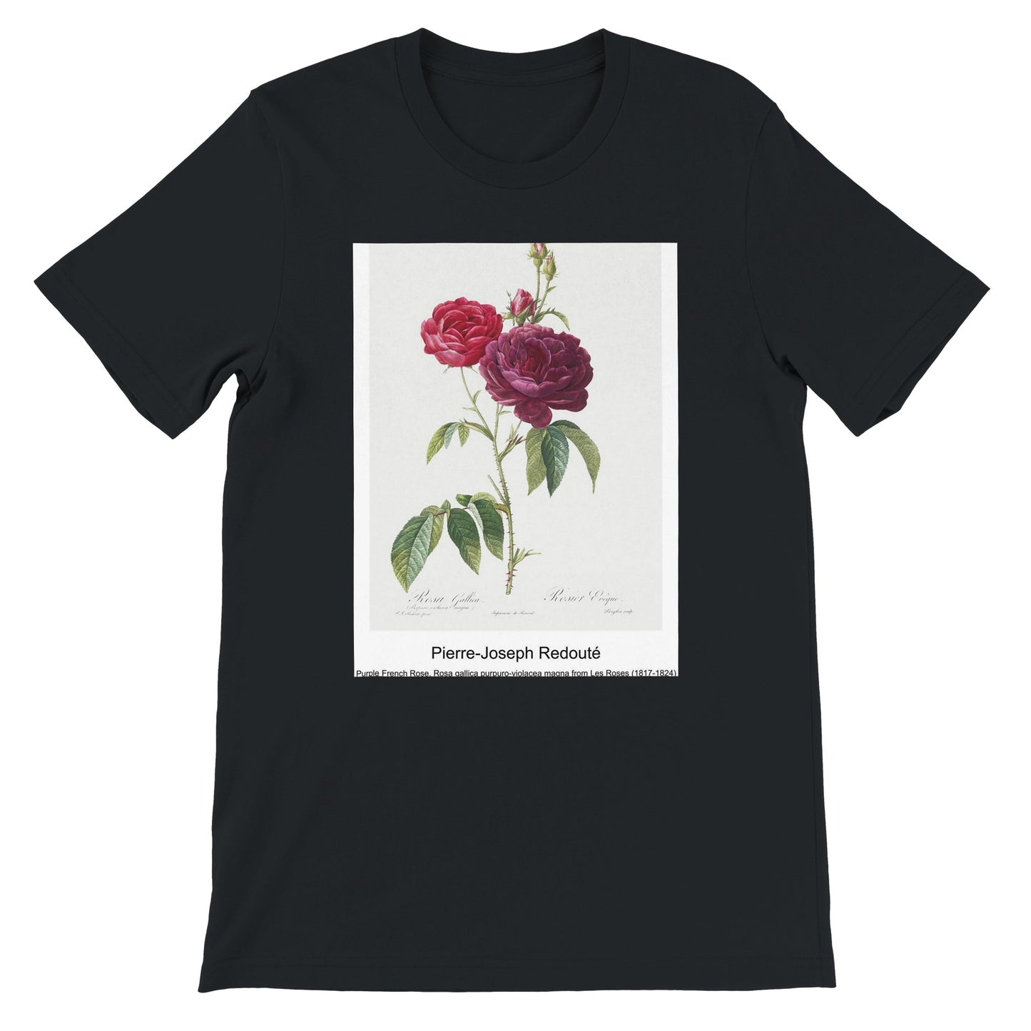 79873ce1-d581-4389-9c44-53565ce7376a