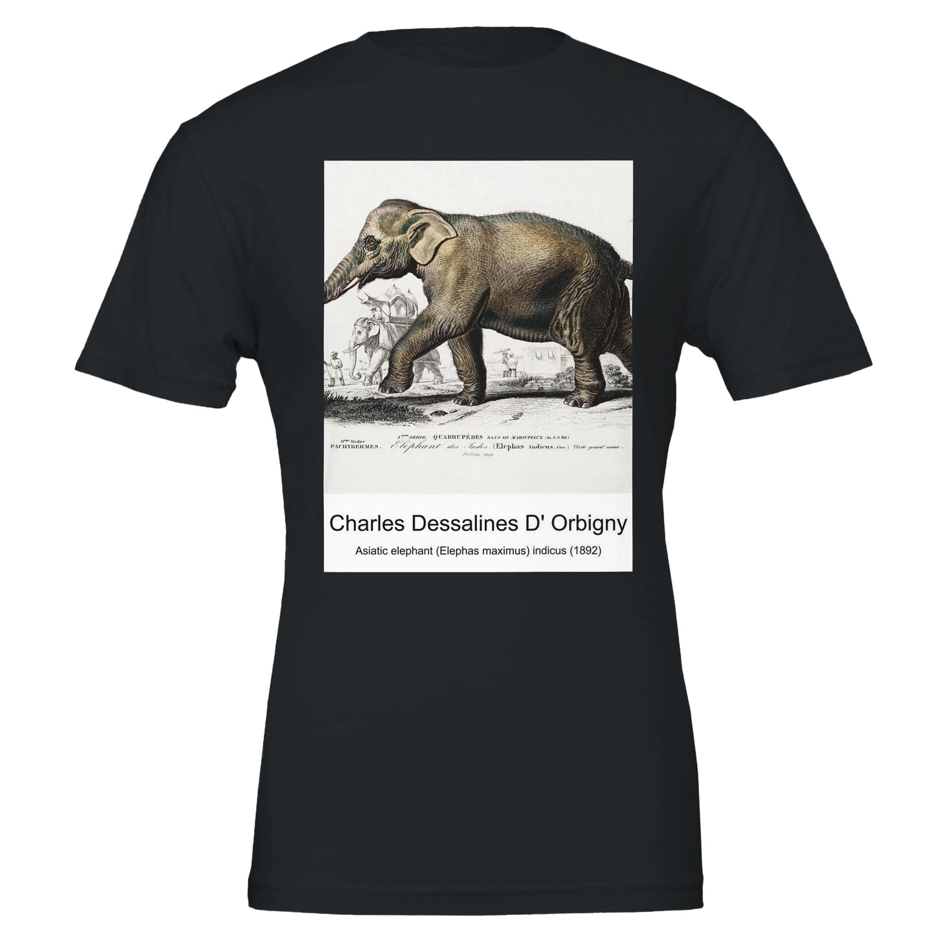 7a0c30cb-4949-4c5a-9b27-6f01894aaeff