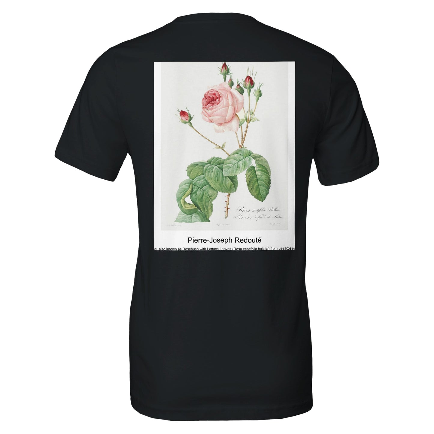 7b6a7dd2-fa05-4052-aa76-bed692ee4455