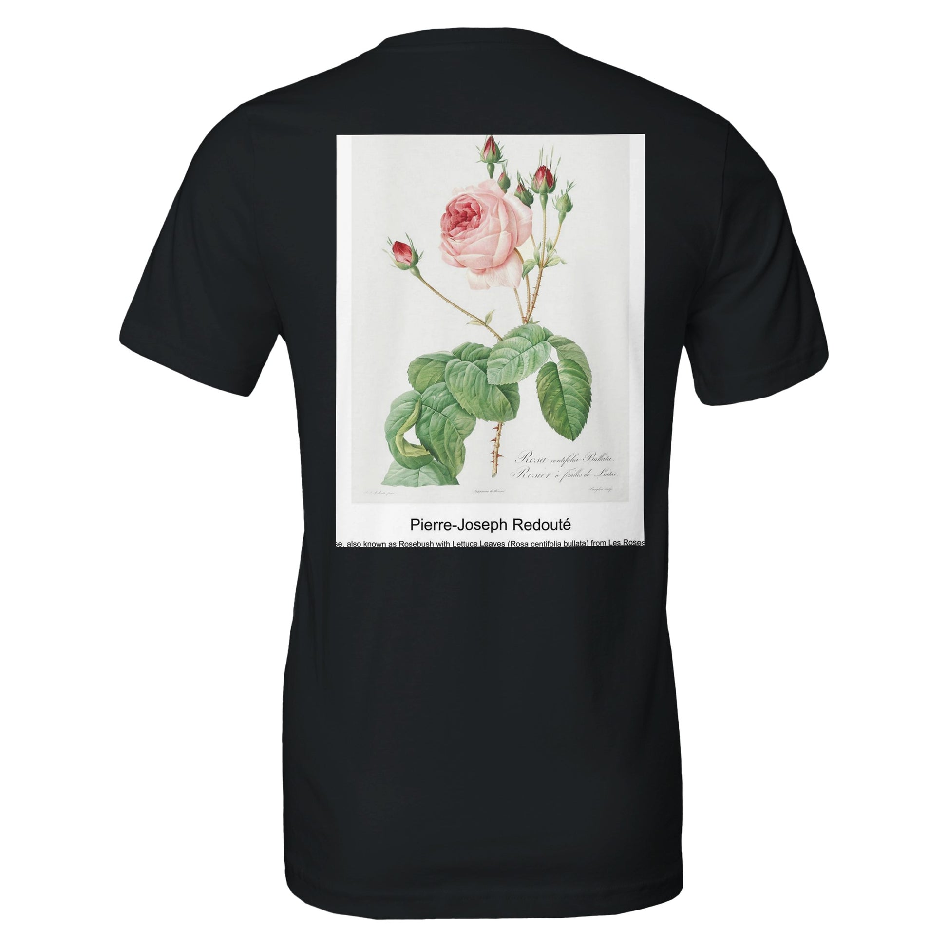 7b6a7dd2-fa05-4052-aa76-bed692ee4455