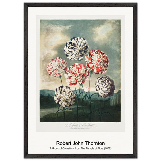 7b9a2db8-db07-4890-8d0b-36b851901e33