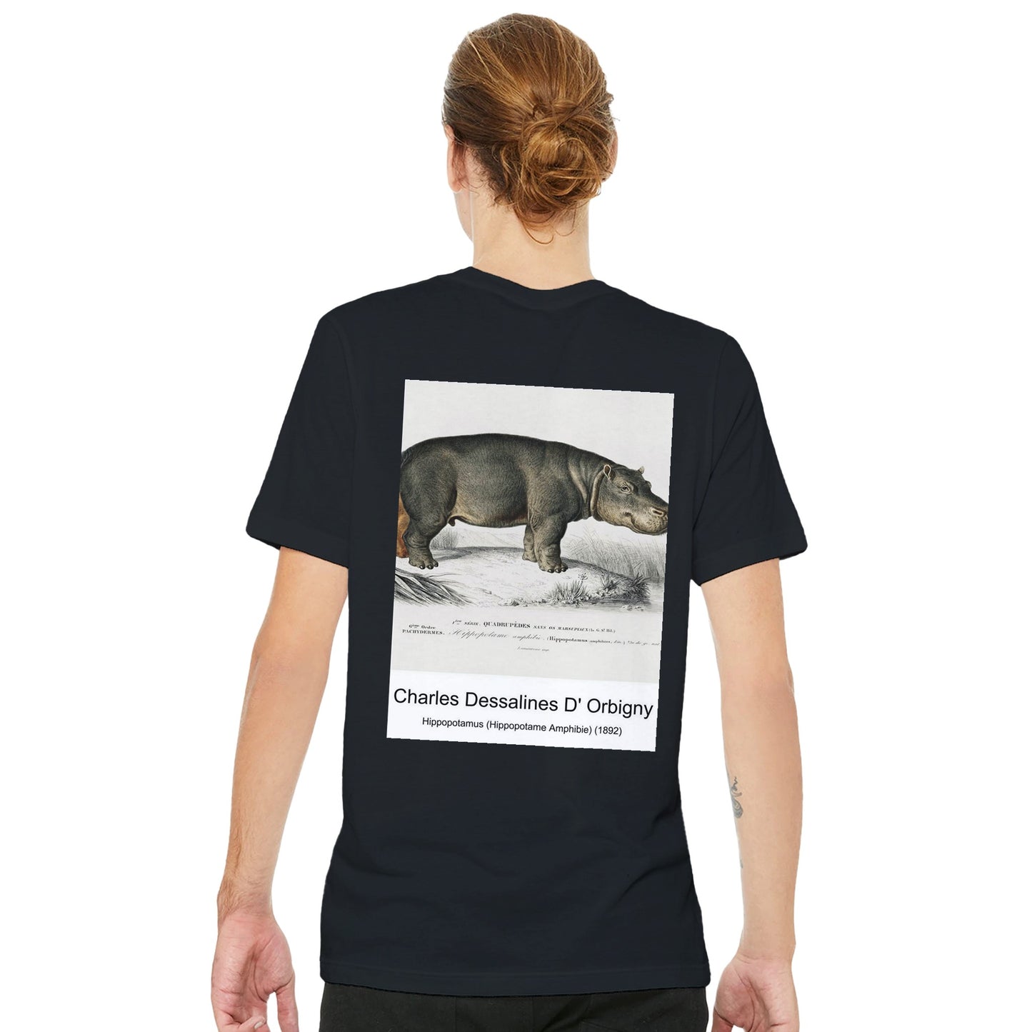 7bb82e37-fe91-4fe0-ad9a-16aa30330776