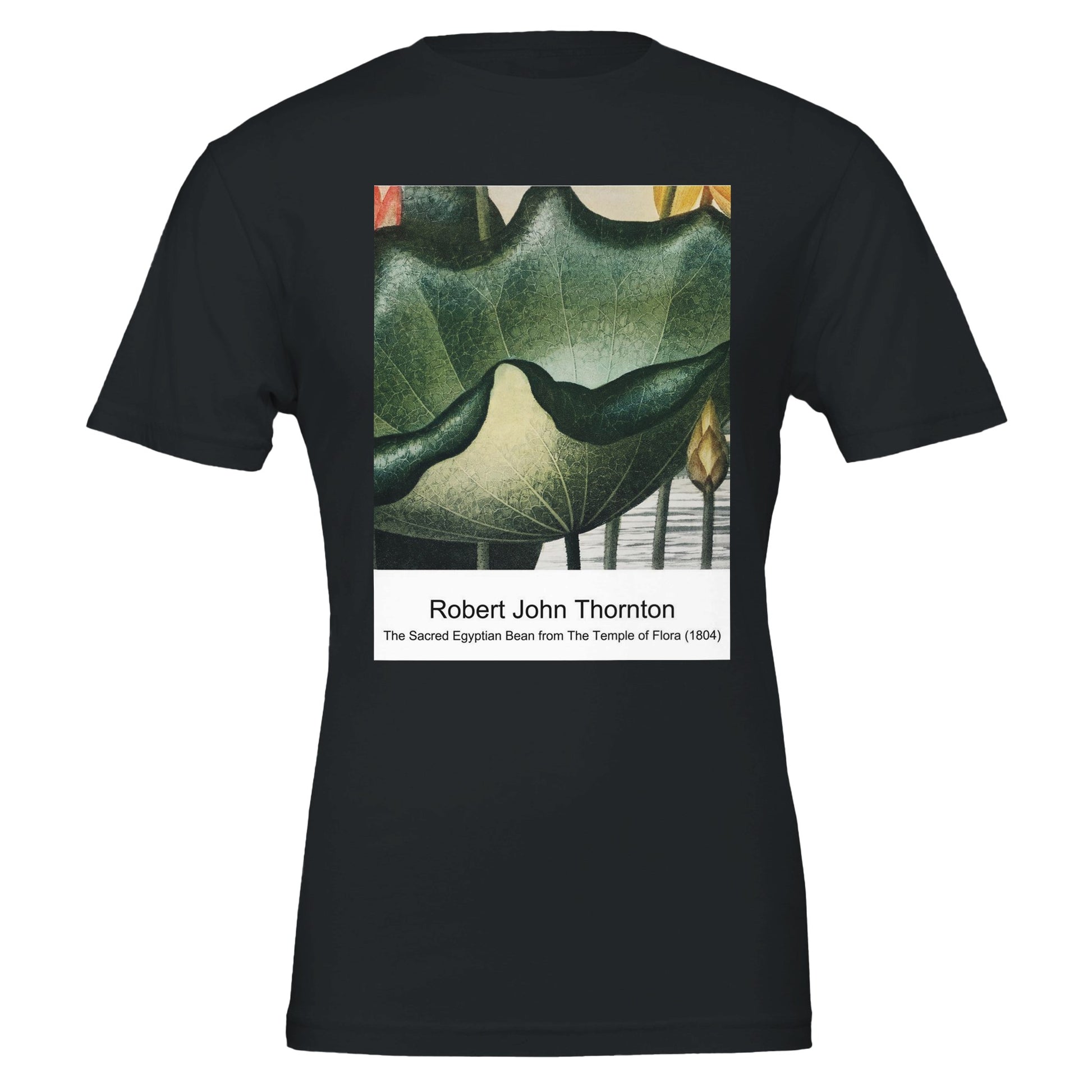 7cc2adfc-bf4b-4e0d-a984-ba50e5c6f853