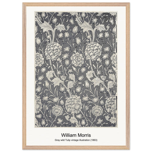 Gray wild Tulip vintage illustration (1863) by William Morris. Archival Print on Museum Quality Matte Paper. Premium Wood Framed Wall Art. Optimised Aspect Ratio.