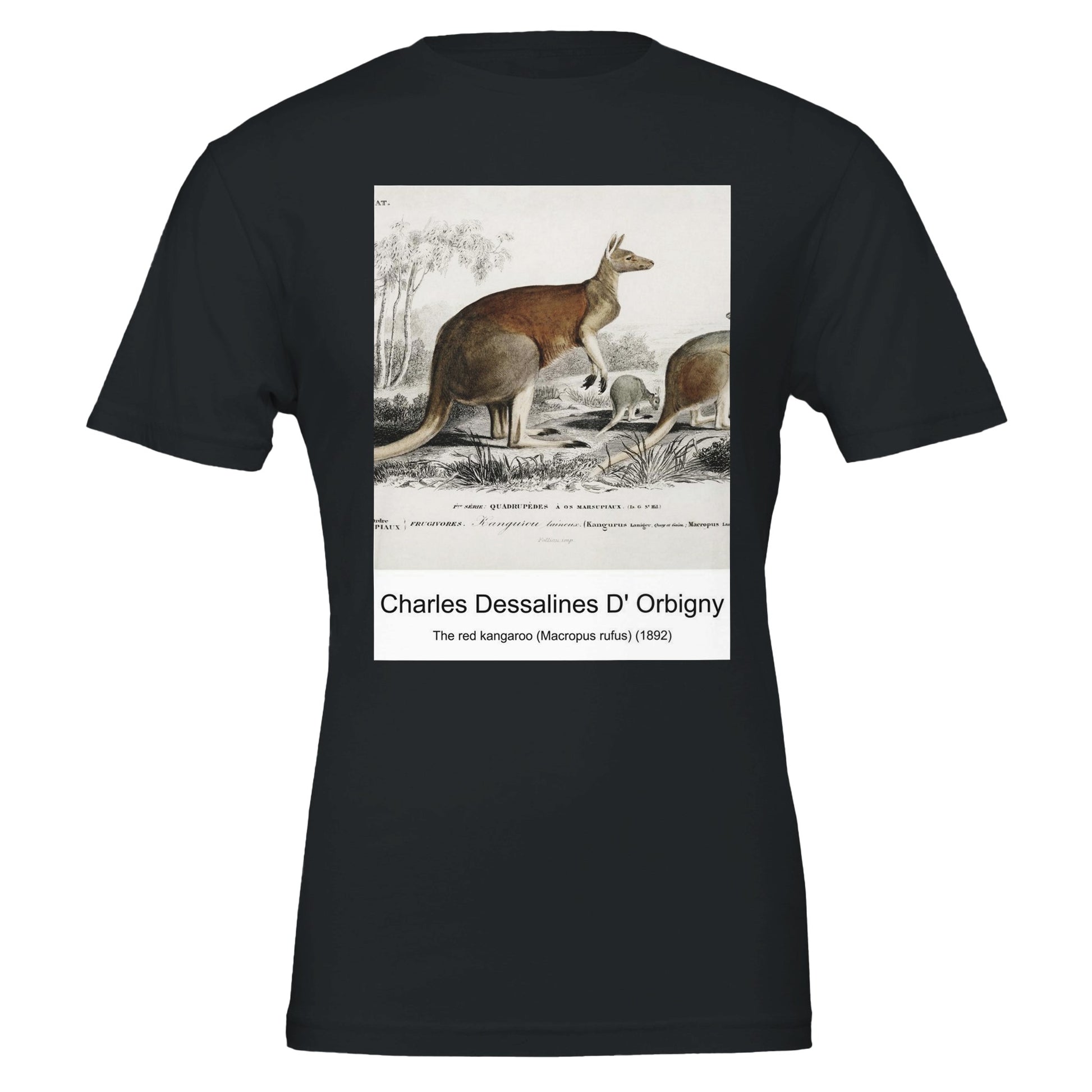 7d1c755b-721e-4722-b286-3d607dfb5c03