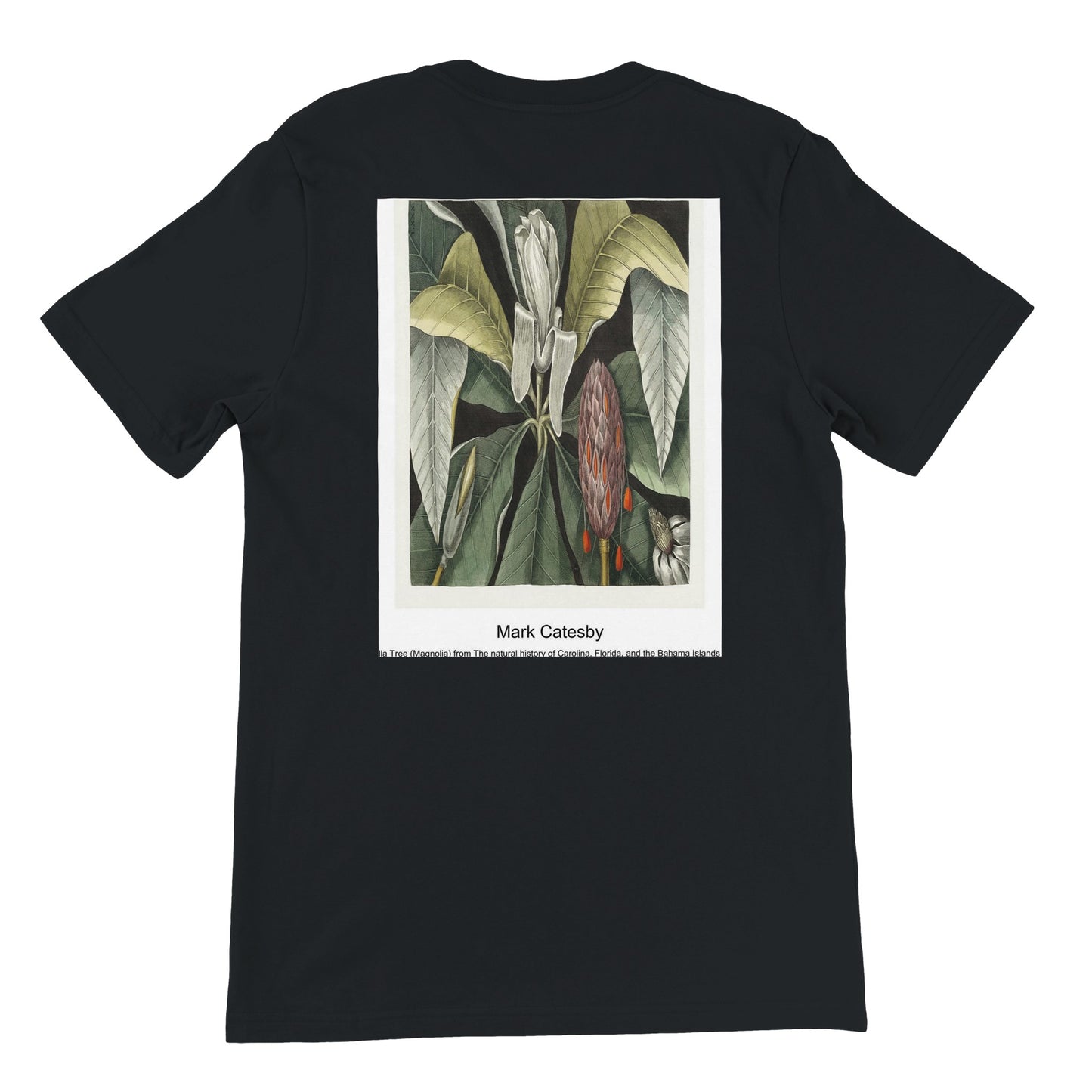 7dd49905-cba7-4a2b-9401-3bb3e4df39bb