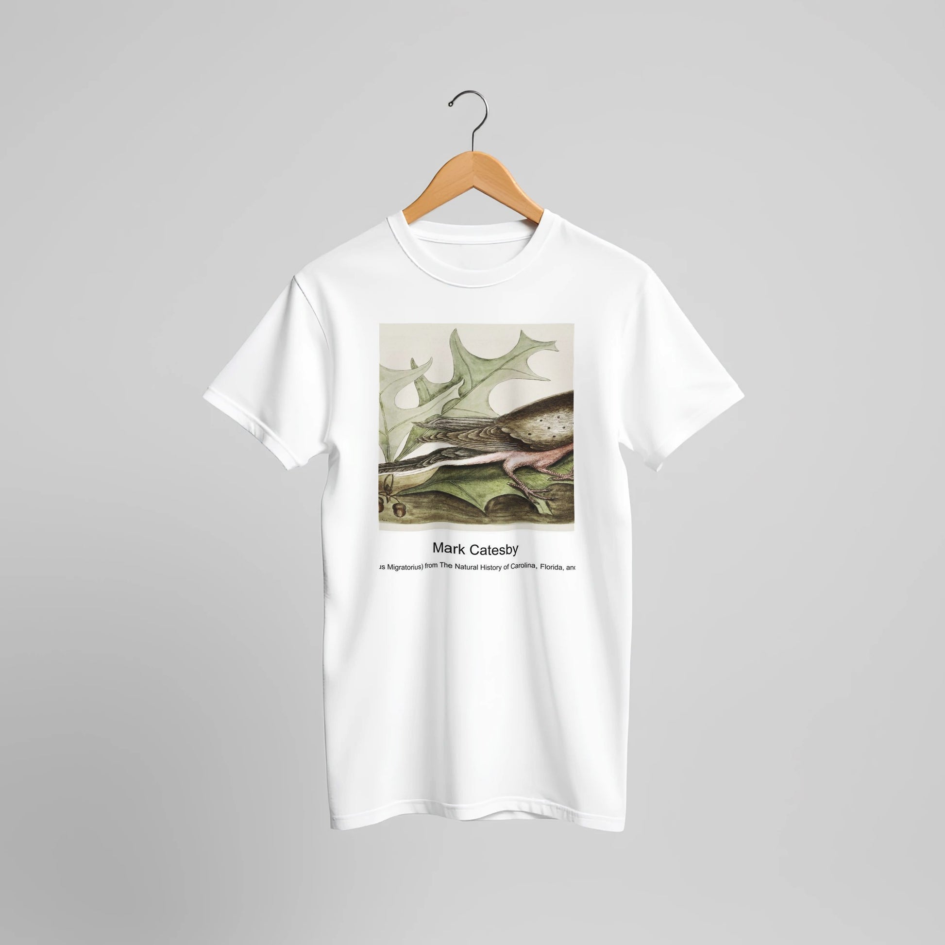 7e3602cf-bc31-44af-a50b-51c27ac283e7